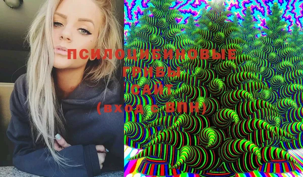 мяу мяу мука Абаза